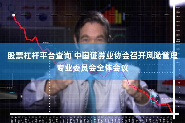 股票杠杆平台查询 中国证券业协会召开风险管理专业委员会全体会议