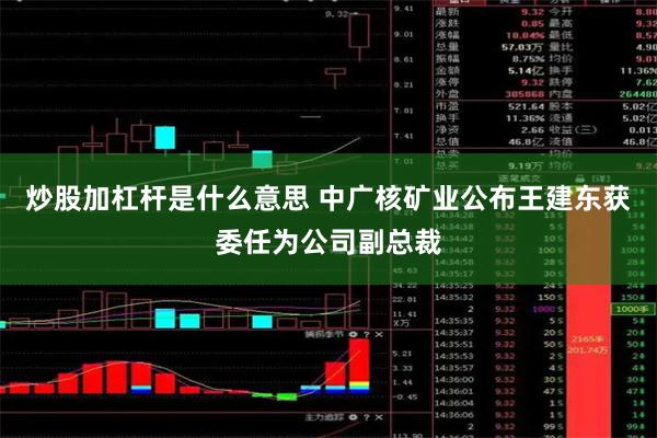 炒股加杠杆是什么意思 中广核矿业公布王建东获委任为公司副总裁