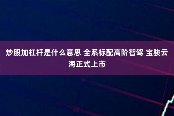 炒股加杠杆是什么意思 全系标配高阶智驾 宝骏云海正式上市