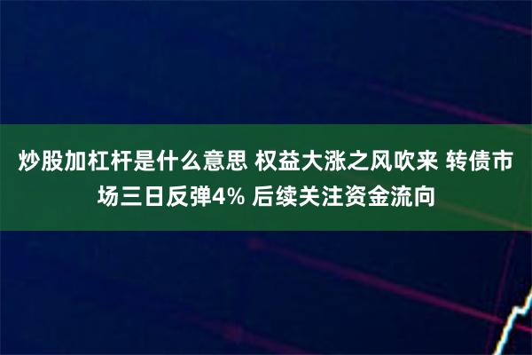 炒股加杠杆是什么意思 权益大涨之风吹来 转债市场三日反弹4% 后续关注资金流向