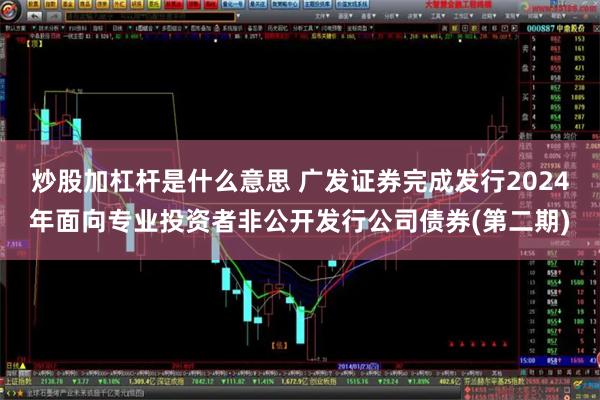 炒股加杠杆是什么意思 广发证券完成发行2024年面向专业投资者非公开发行公司债券(第二期)