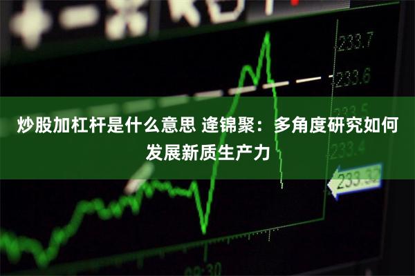 炒股加杠杆是什么意思 逄锦聚：多角度研究如何发展新质生产力